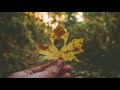 Miniature de la vidéo de la chanson Where The Heart Is