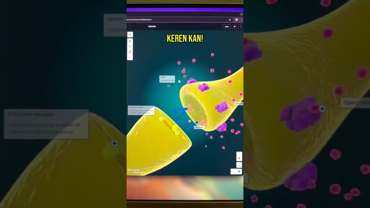 Sewa Laptop - Rental Laptop - Sewa Printer - Sewa Kamera - Sewa LED TV - Sewa LCDPelayanan tercepat