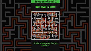 Can You Solve All 3 Maze Puzzles in 60 Seconds? 🧩🔥