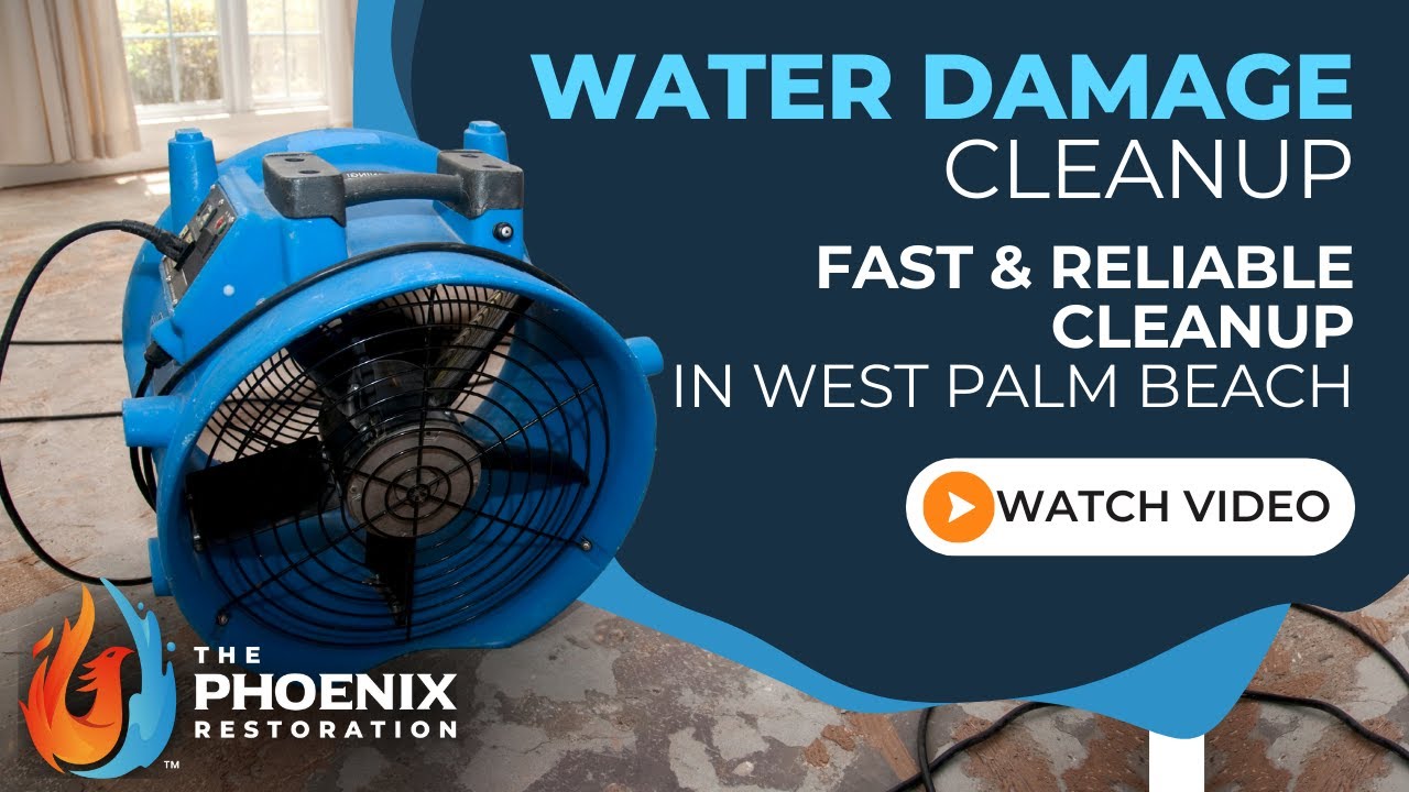 Water Damage Cleanup West Palm Beach | The Phoenix Restoration | 561-462-5074 