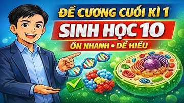 Đề Cương Ôn Tập Cuối Kì 1 Sinh Học 10 | Trọn Bộ Lý Thuyết & Bài Tập Trọng Tâm