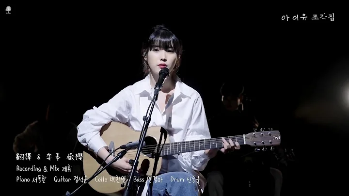 【韩繁中字】IU -  车站 Next Stop 정거장 @ 碎片集 Live Clip - 天天要闻