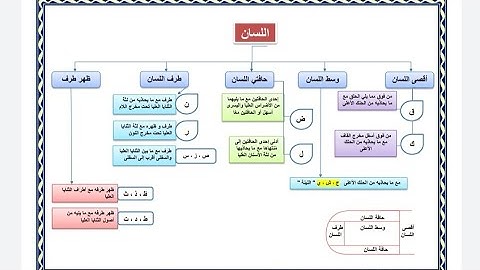(11) دورة التجويد للمبتدئين - مخارج الحروف - مخرج اللسان.