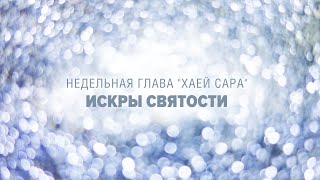 картинка: ДВОЙНАЯ ЖИЗНЬ САРЫ (Рав Исраэль Якобов) Глава: Хаей Сара