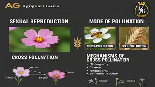 Mechanism of Cross Pollination Explained | Plant Reproduction Practical ||