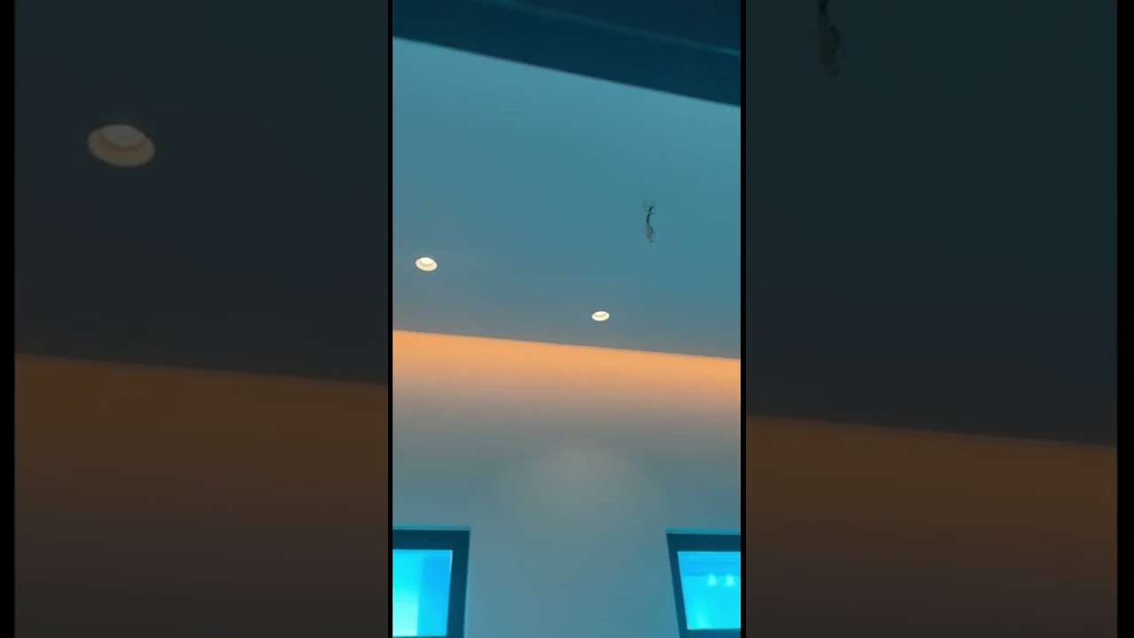 Klang Residence — Circular Light Trough Plaster Ceiling