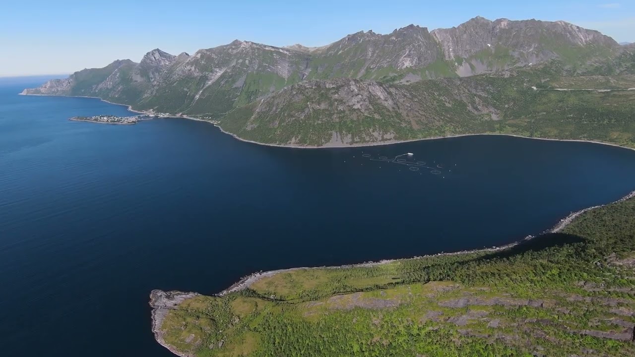 Fjordgård – A Hidden Gem of Northern Norway