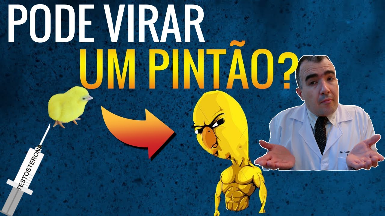 Apresentação do PowerPoint, image size:1280x720