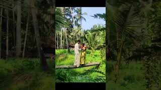 Wedding photoshoot funny fail #kerala #india #indianwedding #funny #funnyfails #indiancouple #photo