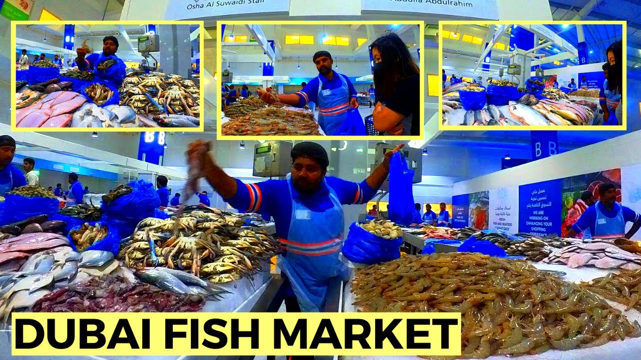 DUBAI FISH MARKET WALK TOUR WATERFRONT MARKET YouTube