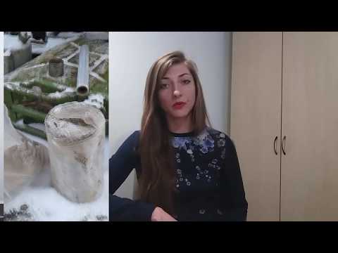 Геология участка: необходимость,