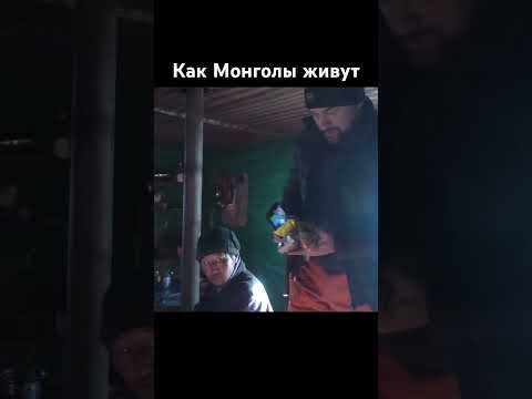 Видео: Отправились в экспедицию по Монголии