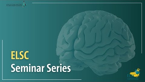 The neural and behavioral basis of non-reinforced preference change