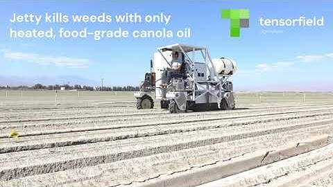 Tensorfield Jetty robot kills weeds with cooking oil