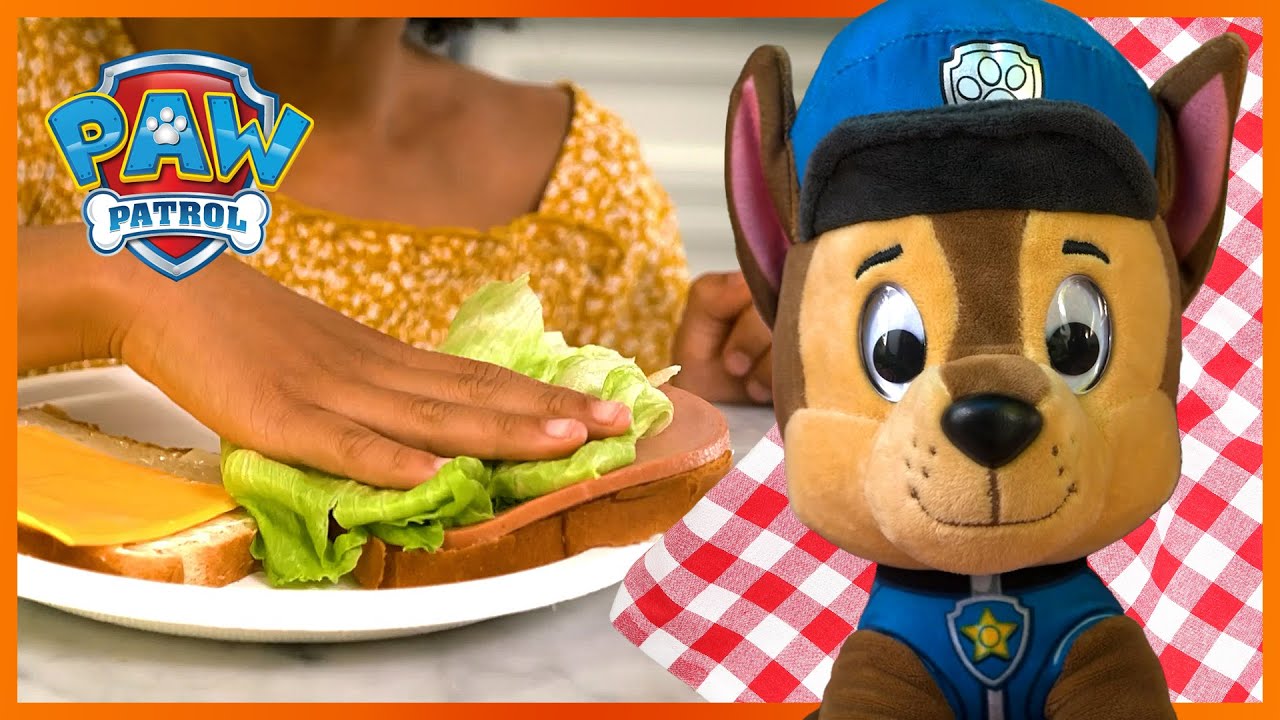 The Pups Make a Perfect Picnic Lunch 🥪 PAW Patrol Toy Pretend Play