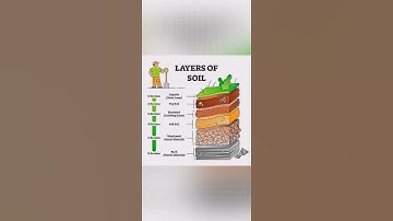 how to make soil profile
