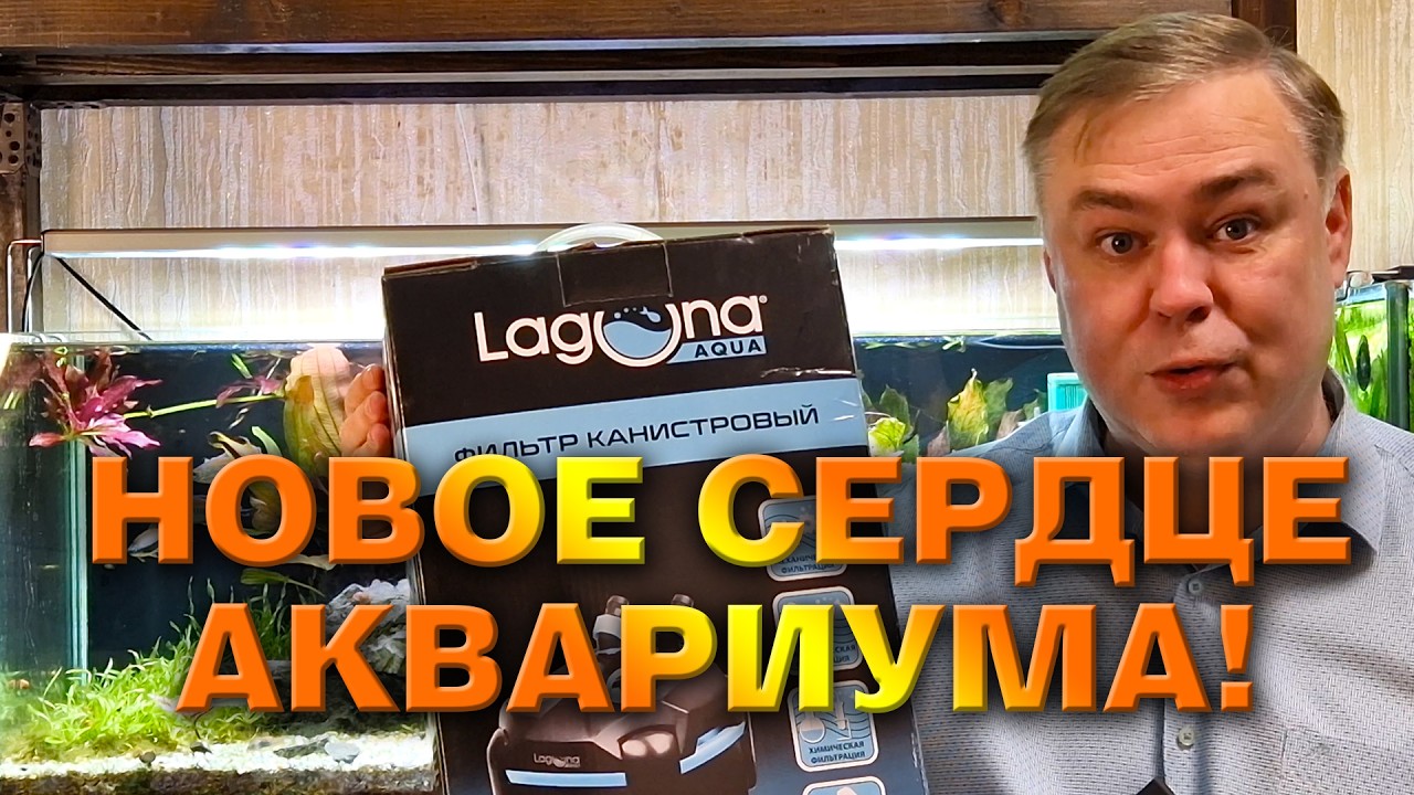 Новое сердце аквариума. Или как я поборол застойные зоны.