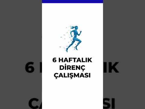 Fit Aygır