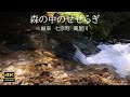 4K映像 + 自然環境音 ASMR   森の中を流れるせせらぎ➁　七宗町 葛屋川