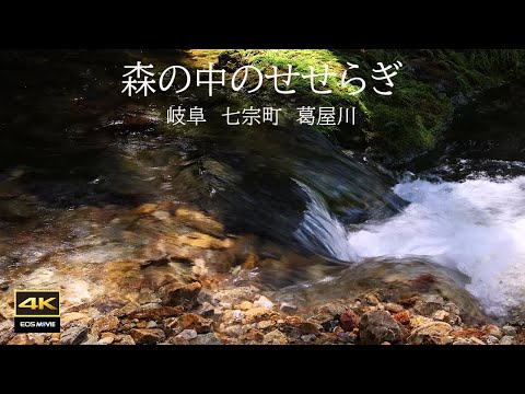 4K映像 + 自然環境音 ASMR   森の中を流れるせせらぎ➁　七宗町 葛屋川