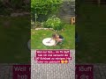 Schrott TV wegen verschmutzter SAT-Schüssel? 🧐🤷🏼‍♀️😅 #fun #tv #schrott #schmutz