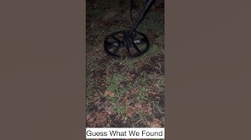 Metal Detecting Finds For The Day #metaldetecting #metaldetector #fyp