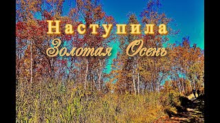 Наступила Золотая Осень