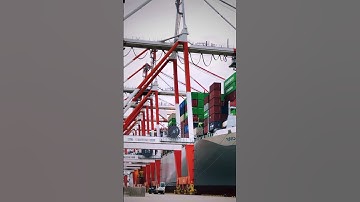 Những con tàu container khủng lồ #container #logistics #ship #xhhh #travel #trend #trieuview