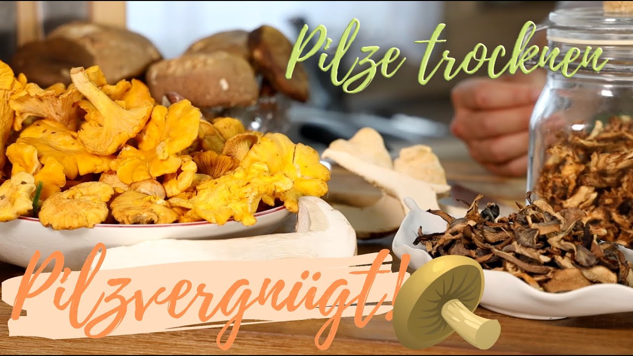 Mein eigener Pilzvorrat! Pilze für Jahre haltbar machen. Qualitätscheck & richtig trocknen 💡