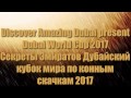 Dubai World Cup 2017|Дубайский международный кубок мира по конным скачкам 25.03.2017|Скачки в Дубае