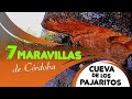 7 MARAVILLAS DE CÓRDOBA 🐦 Cueva de los Pajaritos