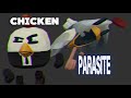 Chicken Parasite