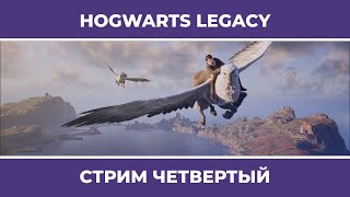 Натаха и Кубок огня | Hogwarts Legacy #4 (09.02.2023)