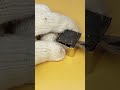 LET'S DISMANTLE A EMI FILTER ZYH-EO-1A. SEE INSIDE