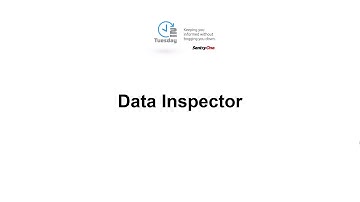 Data Inspector