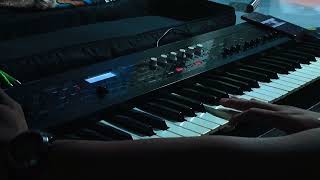 Born to praise by: Planetshakers/piano cover