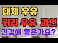 #귀리 우유 - 대체우유  정확히 얼마나 다이어트에 도움이  될까요?