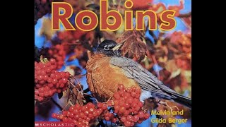 Robins - Kids Books Read Aloud