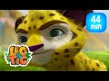 Leo & Tig - Voando alto e mais episódios completos | Desenhos infantil 🐯🦁