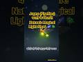 Jugnu (Fireflies) – धरती के सितारे! Nature’s Magical Light Show #facts #nature #wildlife #viral