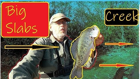 Crappie Fishing tips Late Winter (Pre-Spawn Pattern)