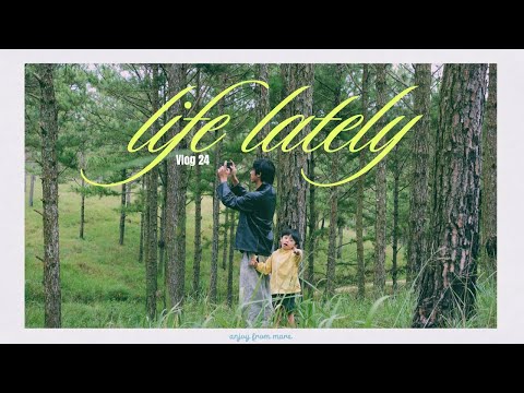 Life lately / Ký ức mùa thu Đà Lạt