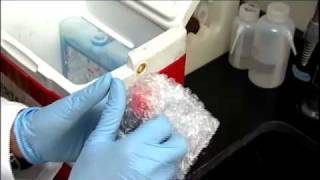 AWWA Organics Sampling Video.mp4