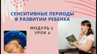 Сензитивные периоды в развитии ребенка screenshot 5