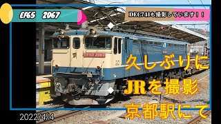 久しぶりのJR撮影！！！京都駅でDEC741、5087レ等を撮影したよ　＃EF65　＃DEC741　＃鉄道　＃撮り鉄