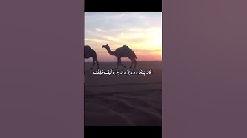 أَفَلَا يَنظُرُونَ إِلَى الْإِبِلِ كَيْفَ خُلِقَتْ#القارئ عبدالله أحمد #تلاوه جميله# قران كريم