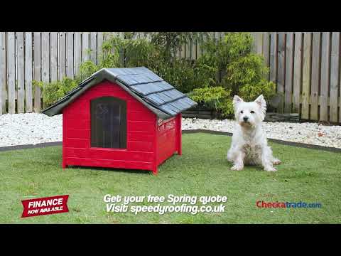 Speedy Roofing STV Advert January 2025