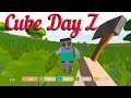 "Cube Day Z" против зомби