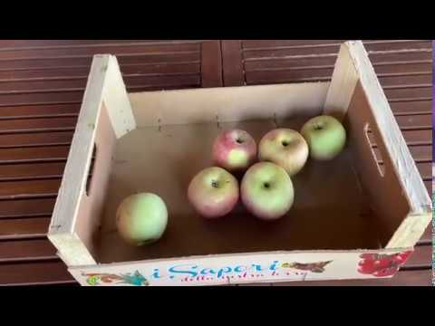 Peso netto, peso lordo e tara - YouTube