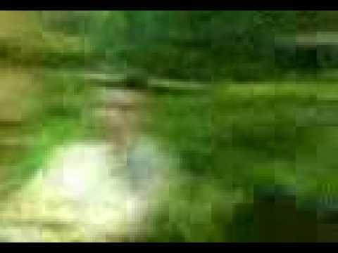 شريف الغندور يدندن